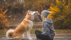 Loyal for Life: 5 Dog Breeds That Are Extremely Attached to People